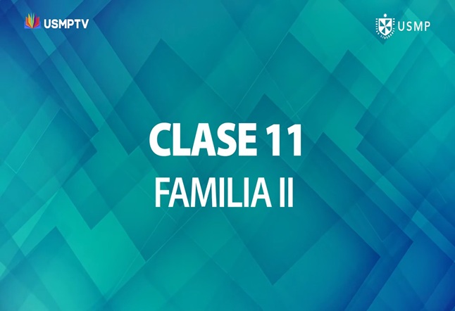 Capítulo N° 11 - Familia II